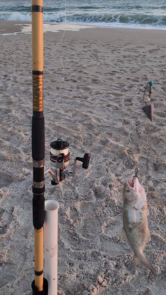 Ryobi SX5 Spinning Reel Combo 13' Foot Rod