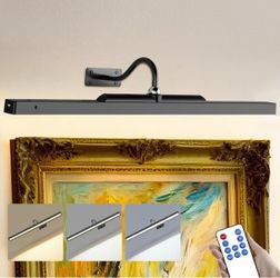 Craftersmark 24 in. Black LED Art Light - Battery Operated, Dimmable, Remote
