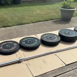 Olympic Weight Set With Barbell 370 Lbs Total