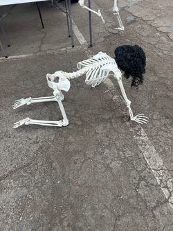 Halloween Skeleton Realistic Plastic Human Bones with Movable Joints