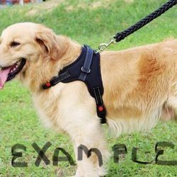 Dog Harness/Size Large Fits 41-70