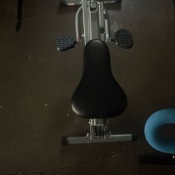 Sunny Health & Fitness Upright Row-N-Rider Exerciser