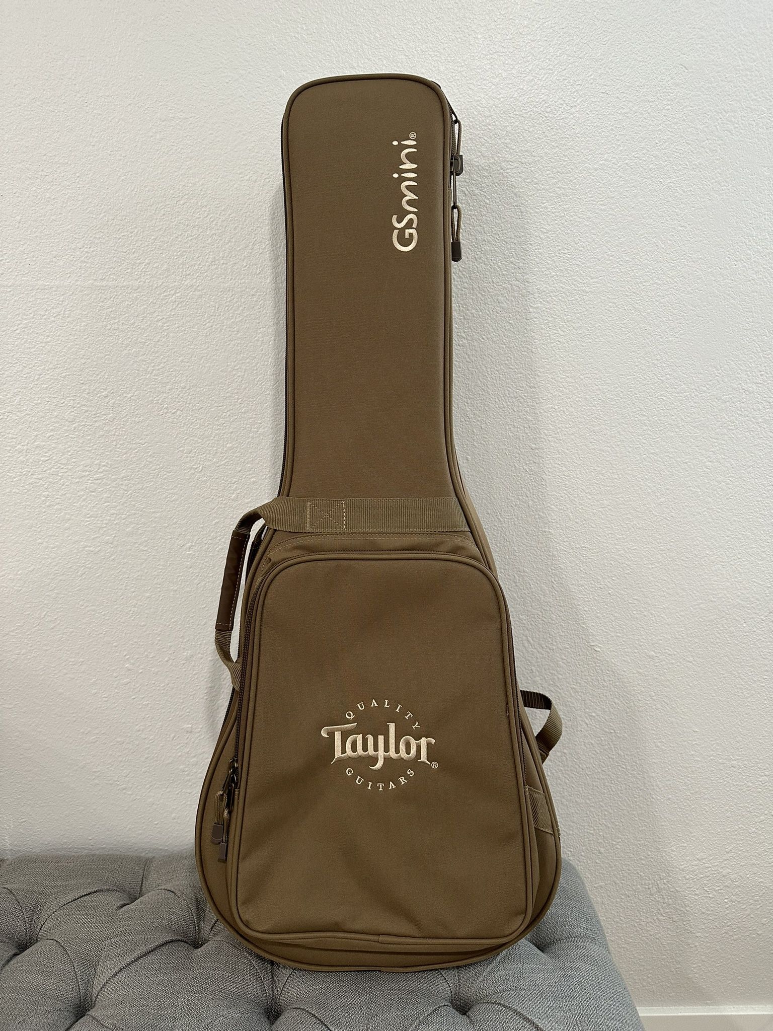 Taylor GS Mini Guitar Case