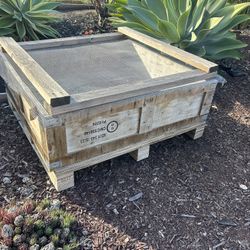 Tortoise Outside Play Pen