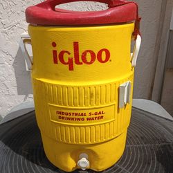 Igloo Drinking Cooler