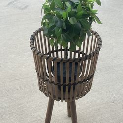 Cute Boho Wood Planter With Artificial Plant 