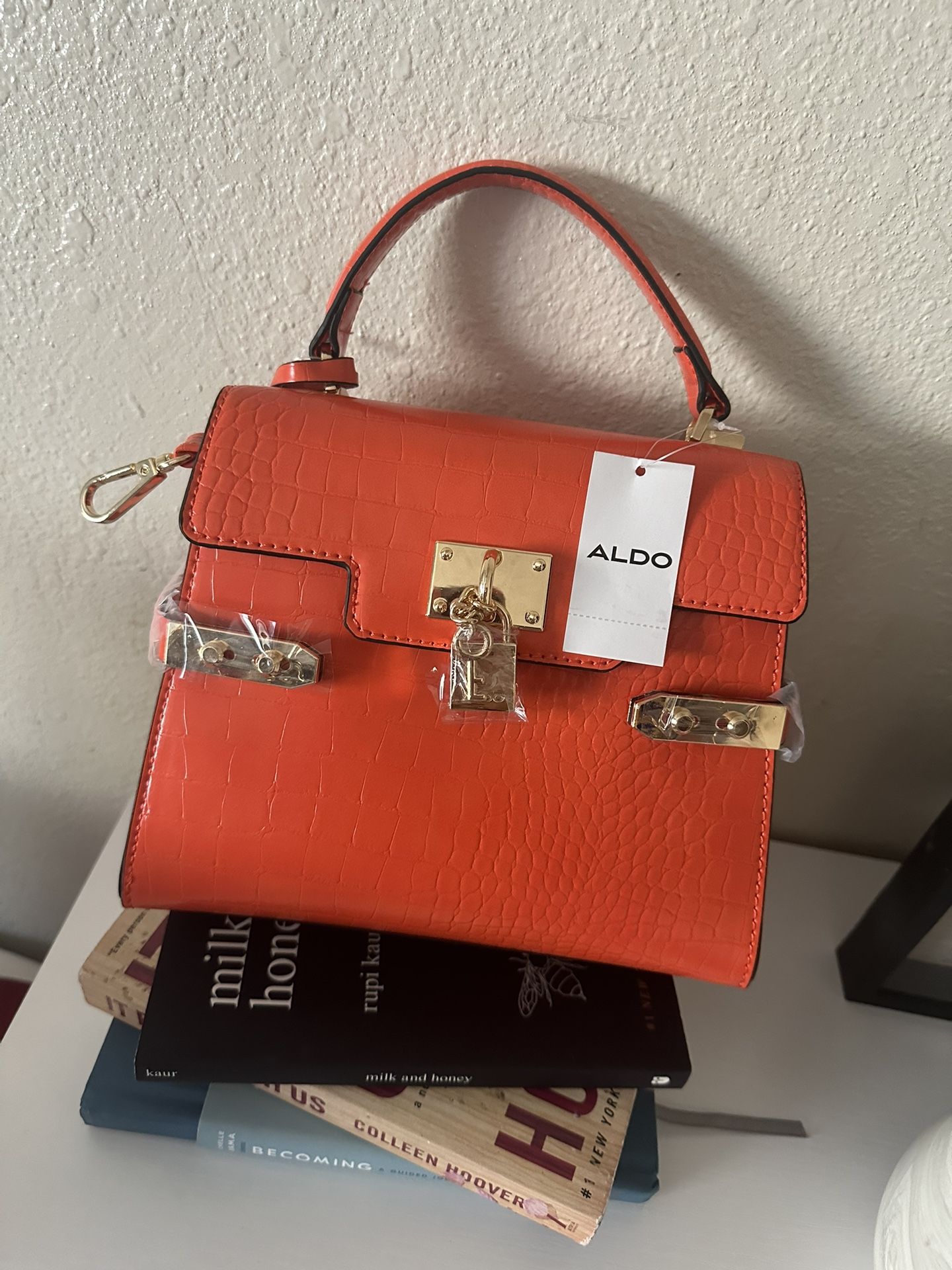 ALDO PURSE