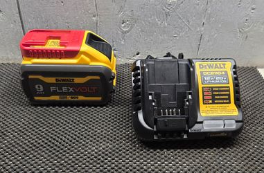 Dewalt battery and charger