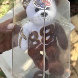 Dale Jarrett, Beanie Baby