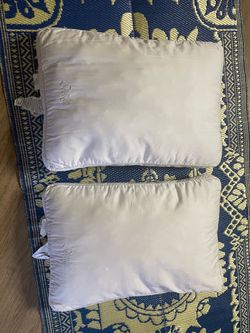 Sealy White Bed Pillows Set of 2