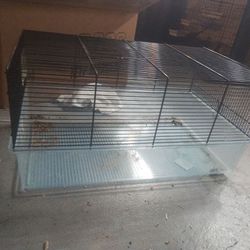 Mouse Cage 