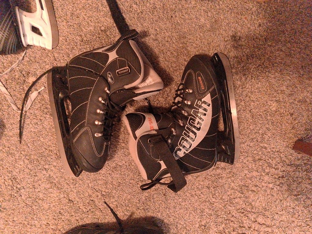 Ice skates