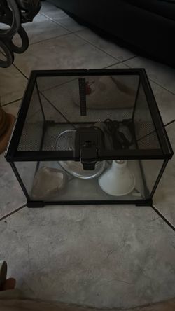 12” x 12” reptile tank with everything inside