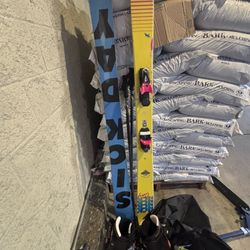 Line Sick day Skis Snow Ready