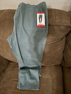 Ladies pant