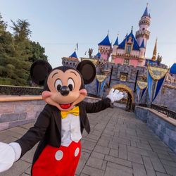 Disneyland Park Hopper Tickets 