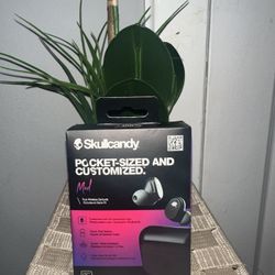 NEW Skullcandy Mod True Wireless Earbuds W/Charging Case -Black -  S2FYW-P740