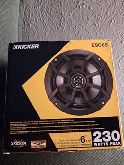 Kicker ESC65