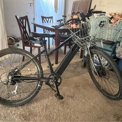 Schwinn E bike