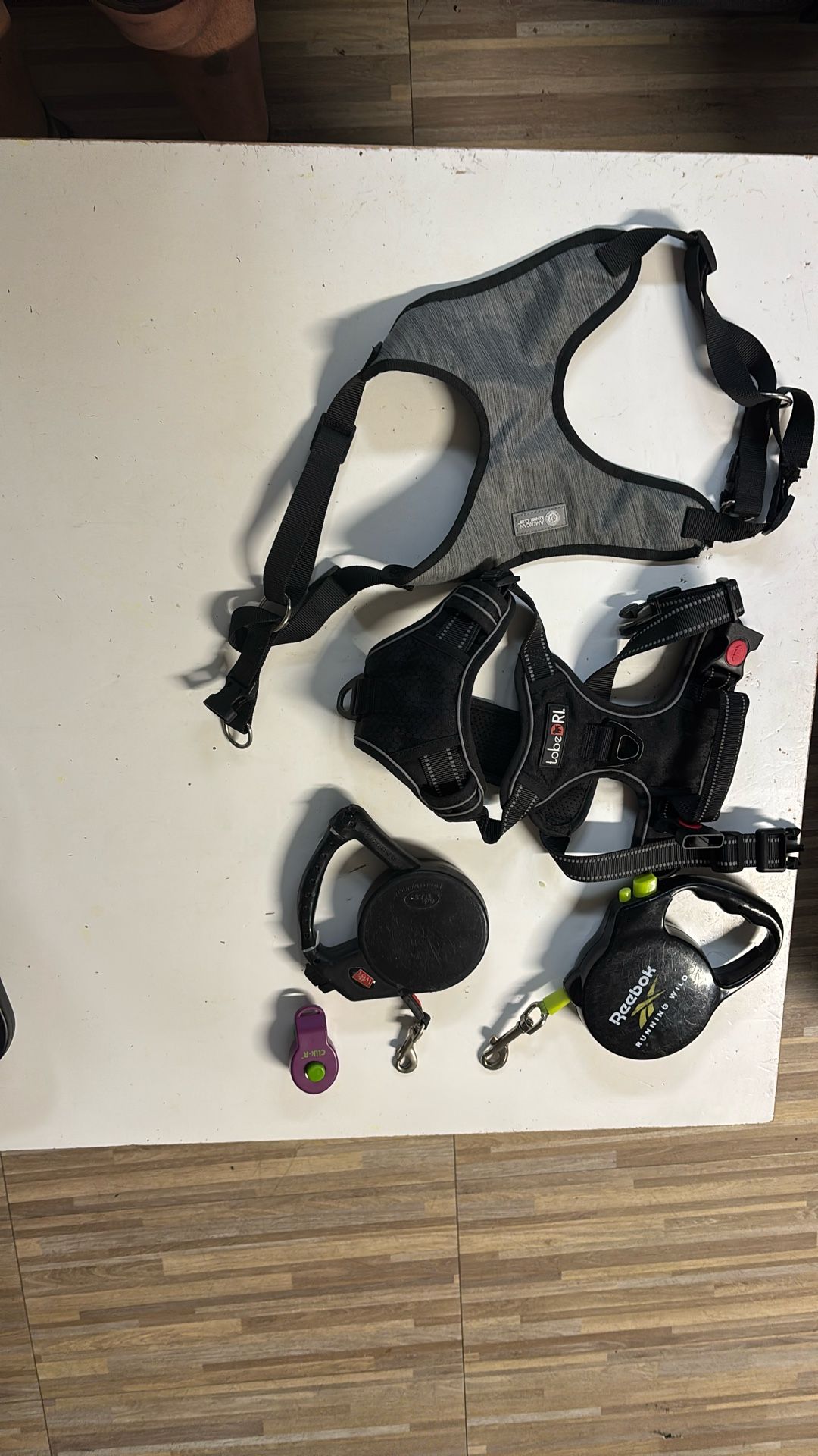 Two dog chest straps, two leashes, and a clicker for training