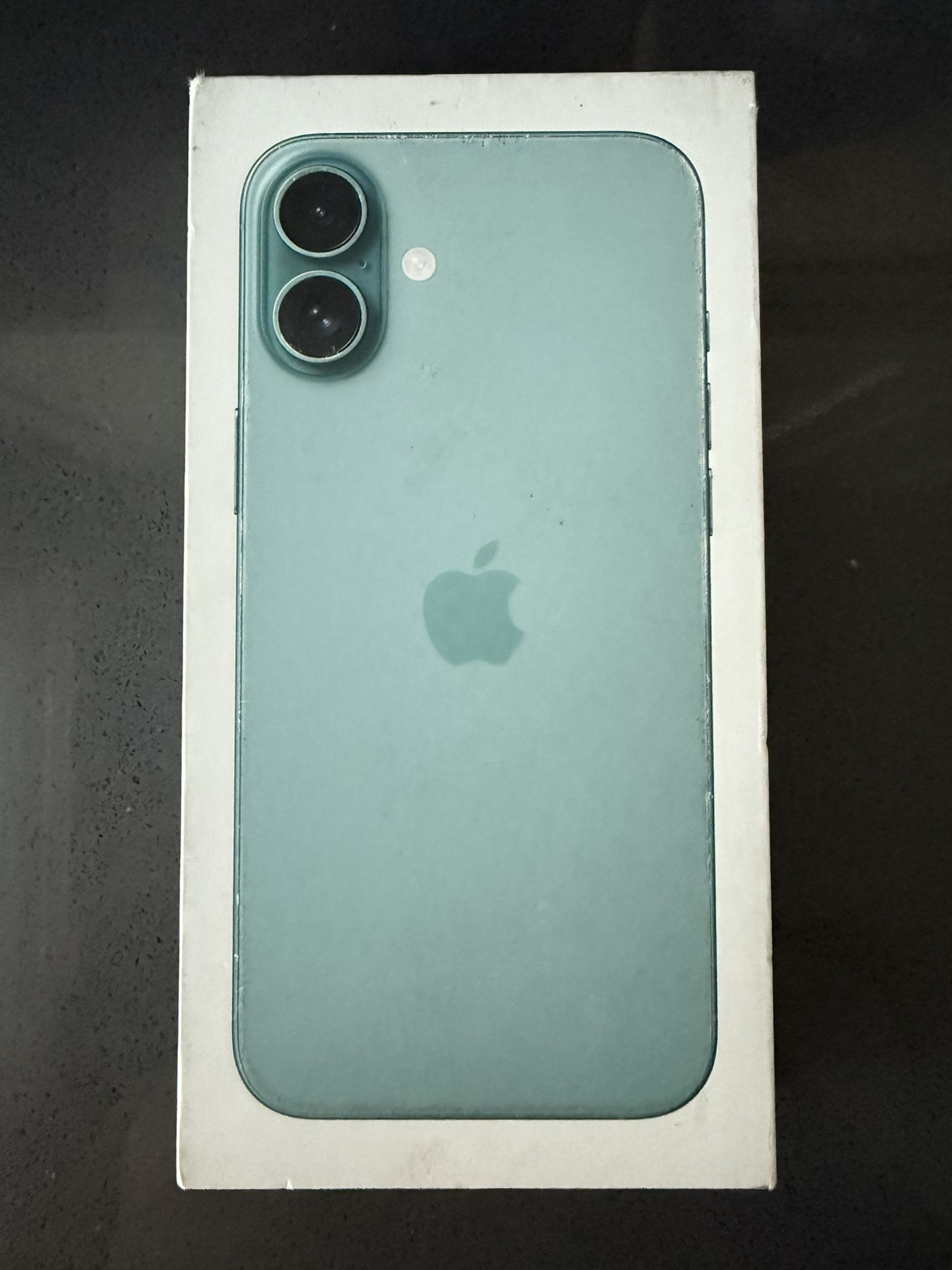 iPhone 16 Plus