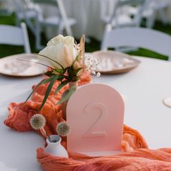 Acrylic Peach Arch Modern Wedding Table Numbers