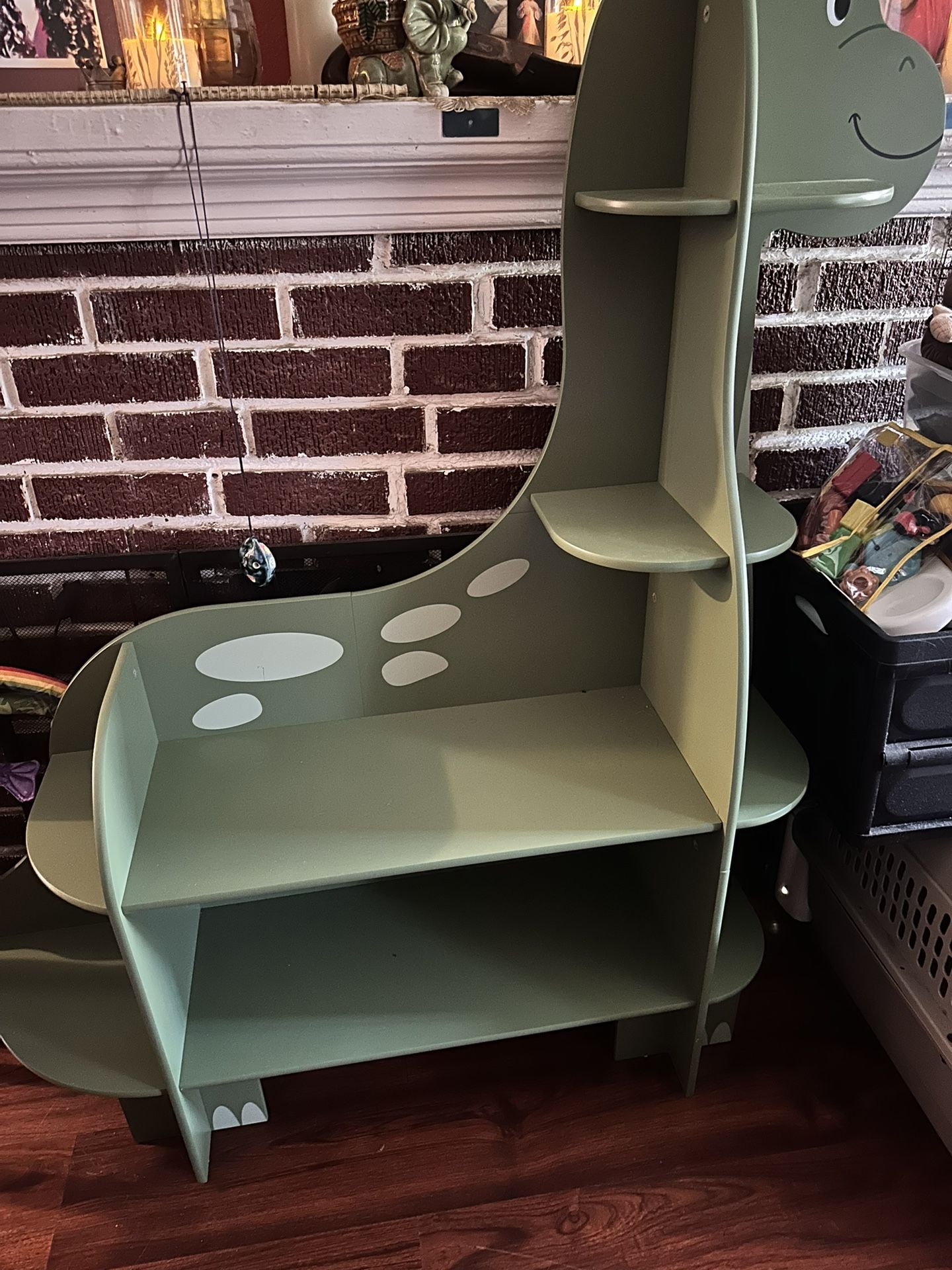 Dinosaur Book Shelf