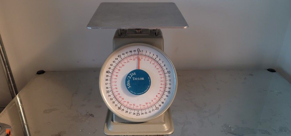 Taylor NSF 50lb Kitchen Scale
