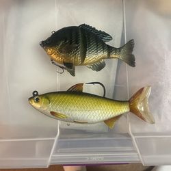 Savage And LiveTarget Gear Swimbaits