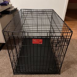 Dog Crate