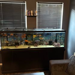 125g Tank And Stand 
