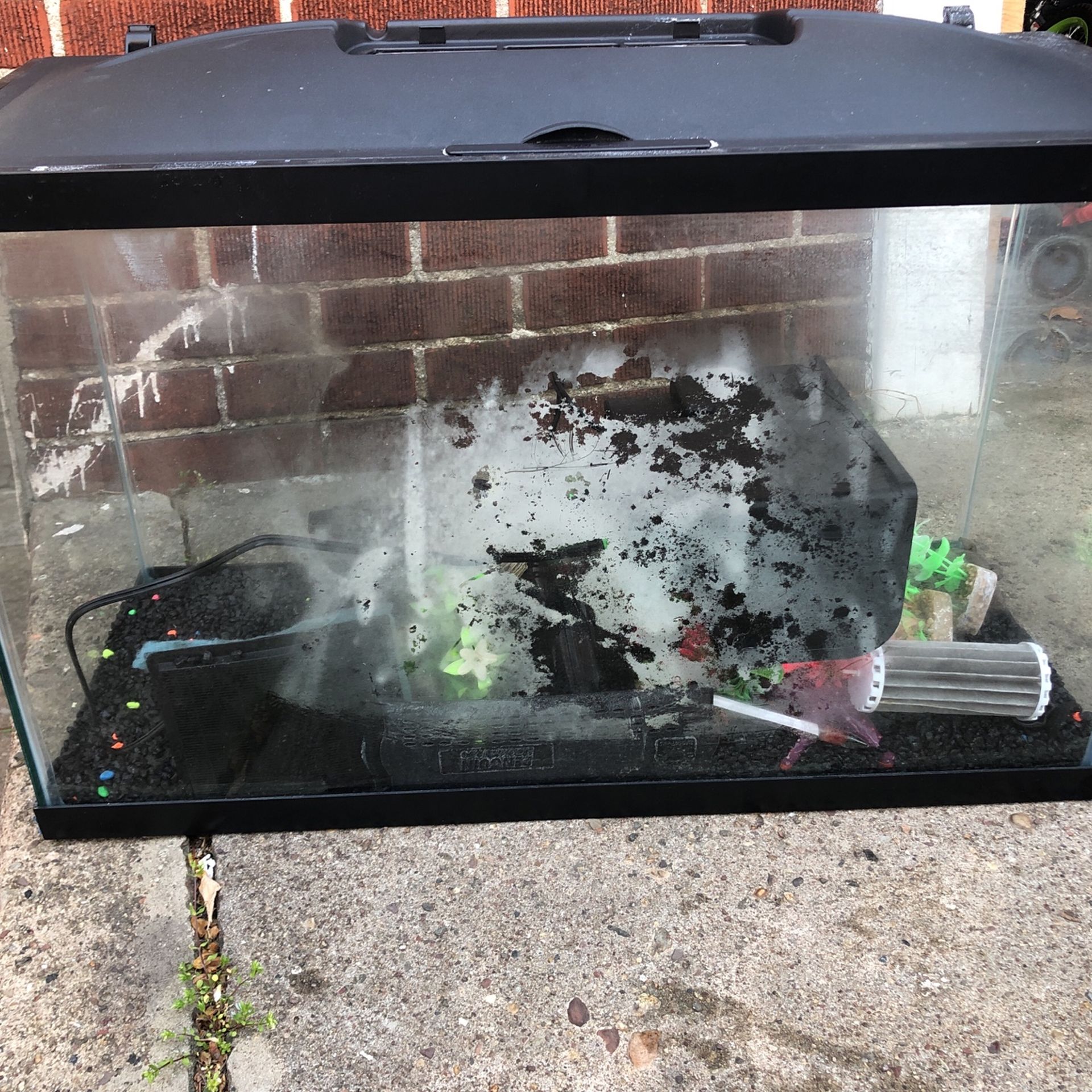 Fish Tank Glass 30 Inches W 19 Inches Long 1 Feet Deep