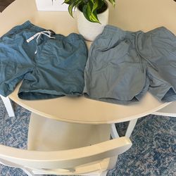 J Crew Shorts
