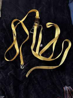 (3) Tie Down Straps Set