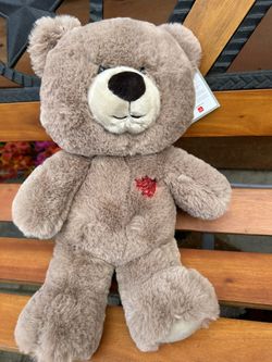 Hearted Teddy Bear 🧸❤️
