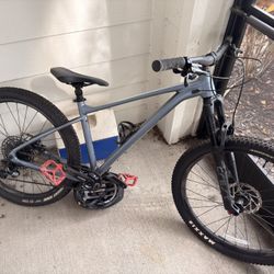 Fathom 2 Mountain Bike. Size Large (OBO)
