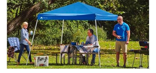 Carpa 10x10