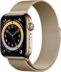APPLE WATCH SERIES 6 GOLD STAINLESS STEEL