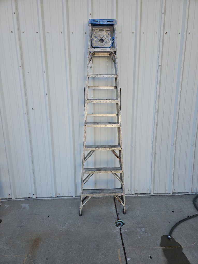 8' Werner Metal Ladder
