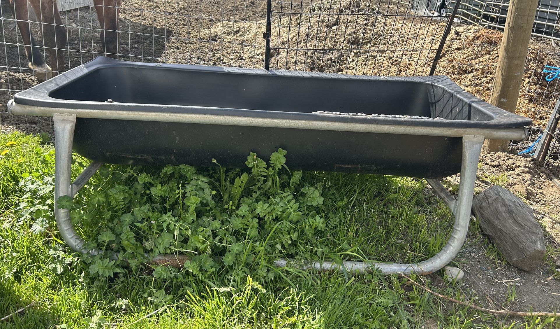 Feeder Cows, Horse Or Small Farm Critter