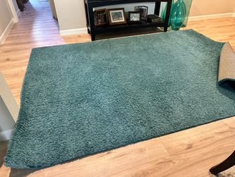 Big Rug 8’ x 10’.