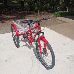 Beautiful 8 Speed Bike