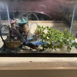 10 gal Fish Tank