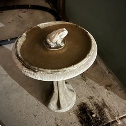 Bird Bath 