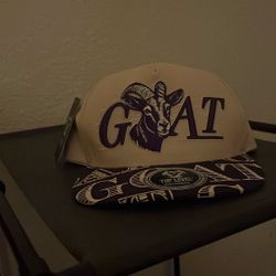 A goat hat