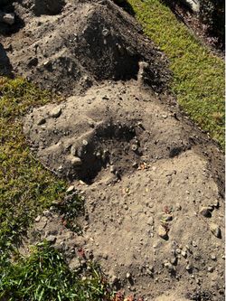 Free dirt, garden bed filler, filler dirt,  dirt