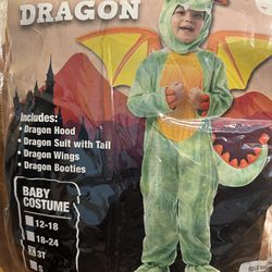 Dragon Costume 