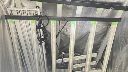 LED Lights and Grow Tent