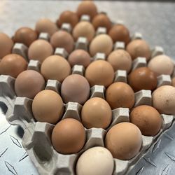 Farm Fresh Eggs 🥚