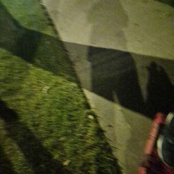 Brand New LeBron James